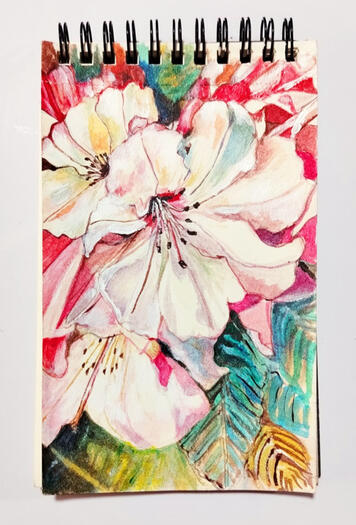 Flores en primavera / Watercolors on paper