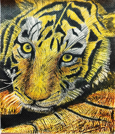 Tigre / Crayon and India ink on paper